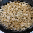 Load image into Gallery viewer, Forest pasture raised pork back fat lard